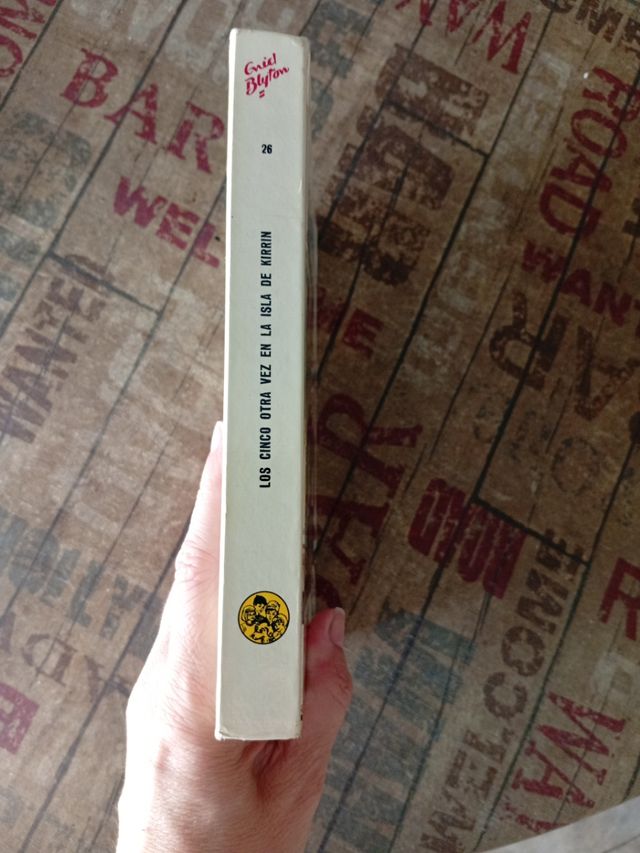 Los Cinco otra vez en la isla de Kirrin 