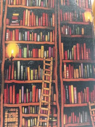 libro de frances
