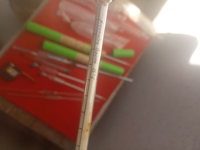 Densimetri e termometri antichi per vino