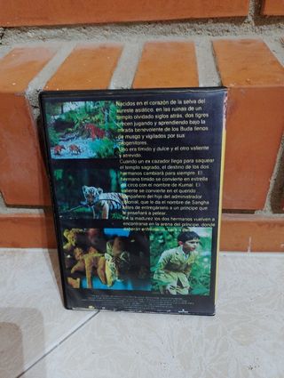 DVD Dos Hermanos (Two Brothers)