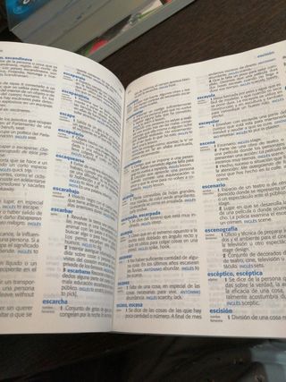 Diccionario de Primaria (Spanish and English Ed...