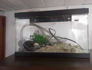 Acuario 20L completo