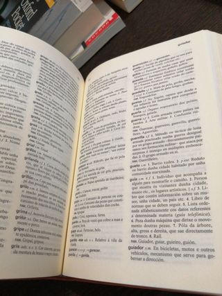 Pequeno Dicionario Xerais da Lingua (Galician E...