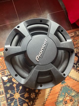 Subwoofer Pioneer y Altavoz JBL Azul