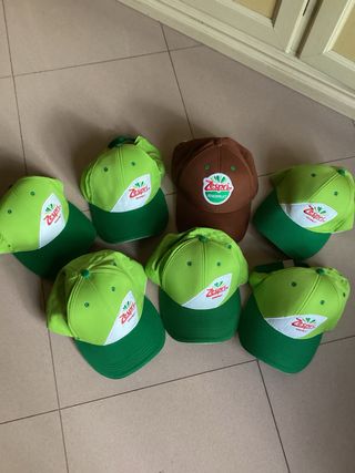 Cappelli Zespri cotone marrone e verde