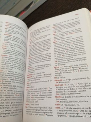 Pequeno Dicionario Xerais da Lingua