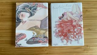 Manga yuri La amiga de mi hermana + Instantes