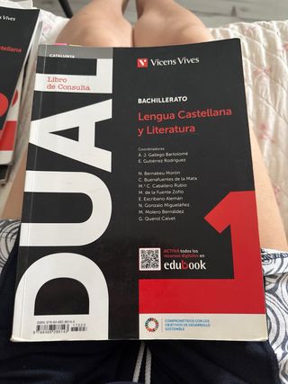 Lengua Castellana Y Literatura