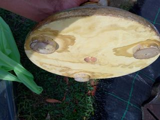 Candeliere in legno dorato XVIII/XIX sec.