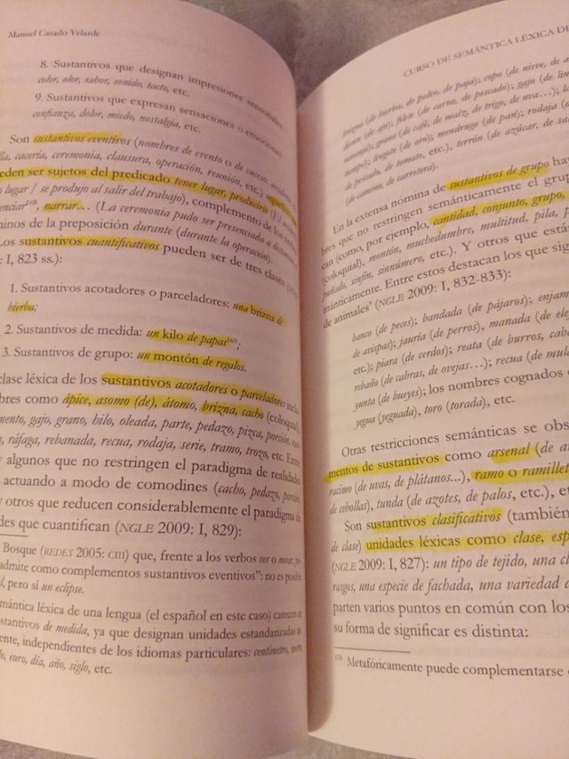 Curso de semántica léxica del español