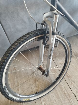 Bicicleta BH renovada