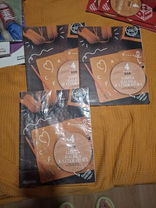 Lingua Galega e Literatura 4