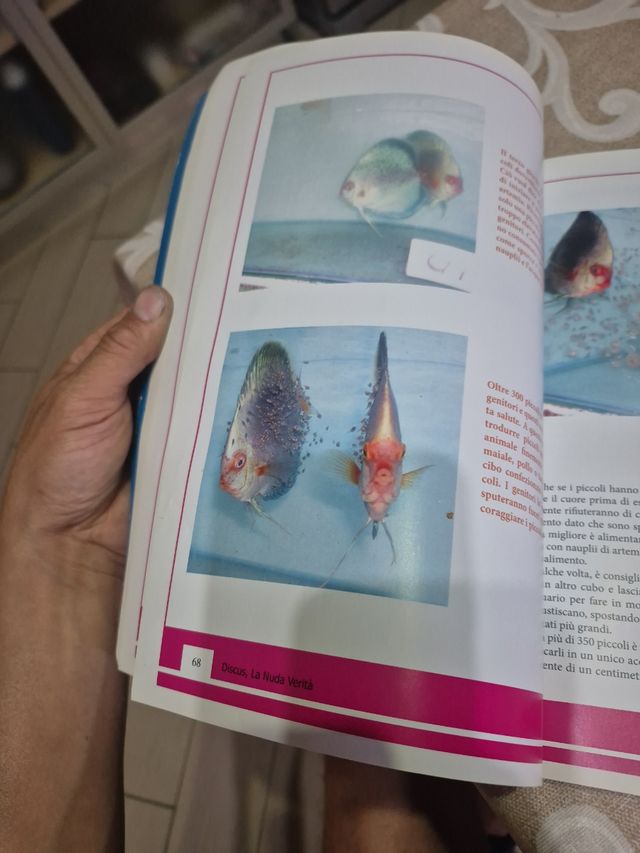 Libro Discus: La Nuda Verità