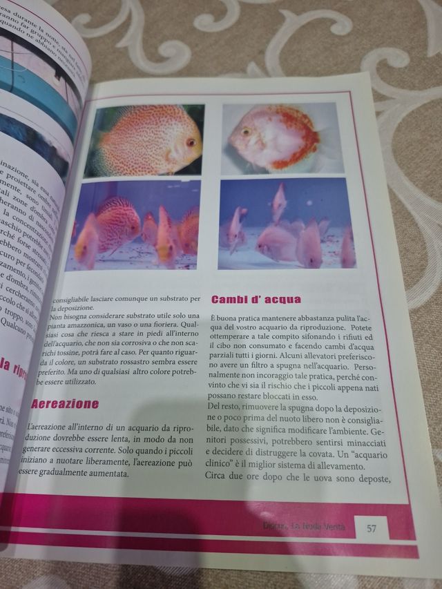 Libro Discus: La Nuda Verità