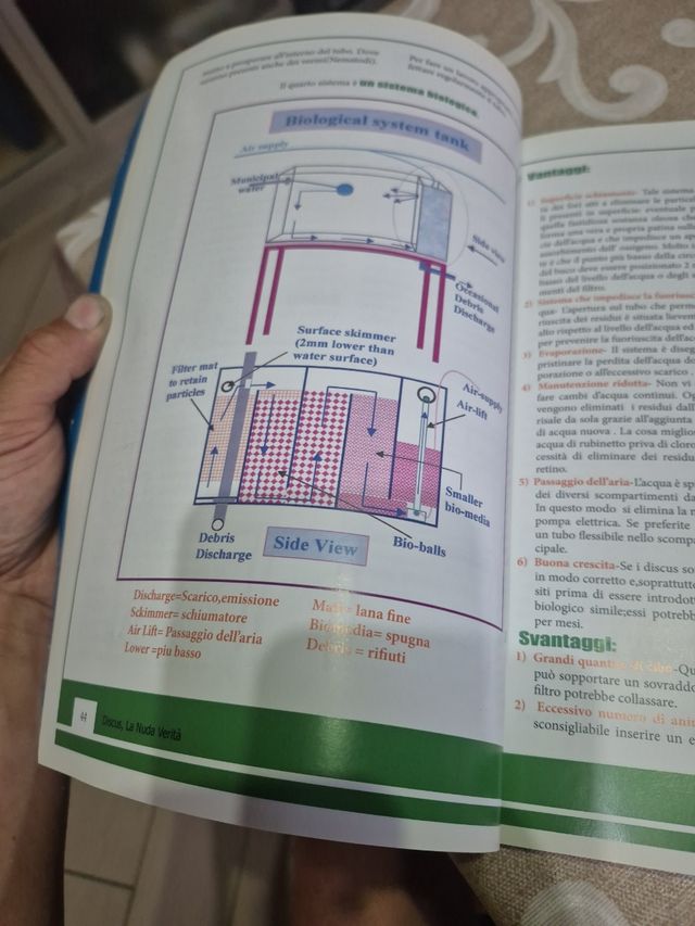Libro Discus: La Nuda Verità