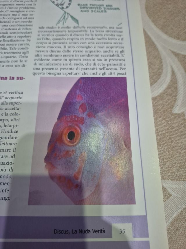 Libro Discus: La Nuda Verità