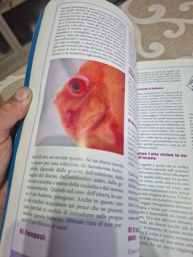 Libro Discus: La Nuda Verità