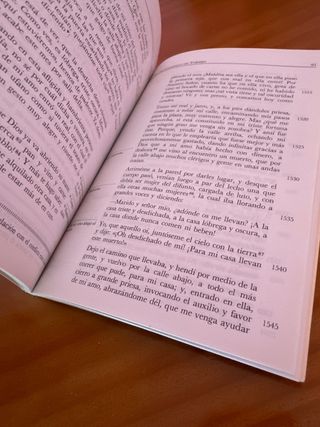 Lazarillo de Tormes (Biblioteca Didactica Anaya...