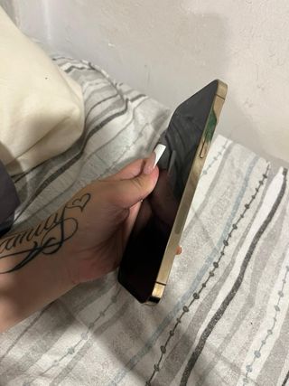 iPhone 13 Pro Max Plata 91de batería