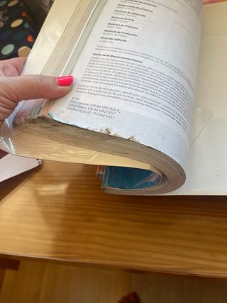 Lengua Castellana y Literatura. 5 Primaria. Rev...