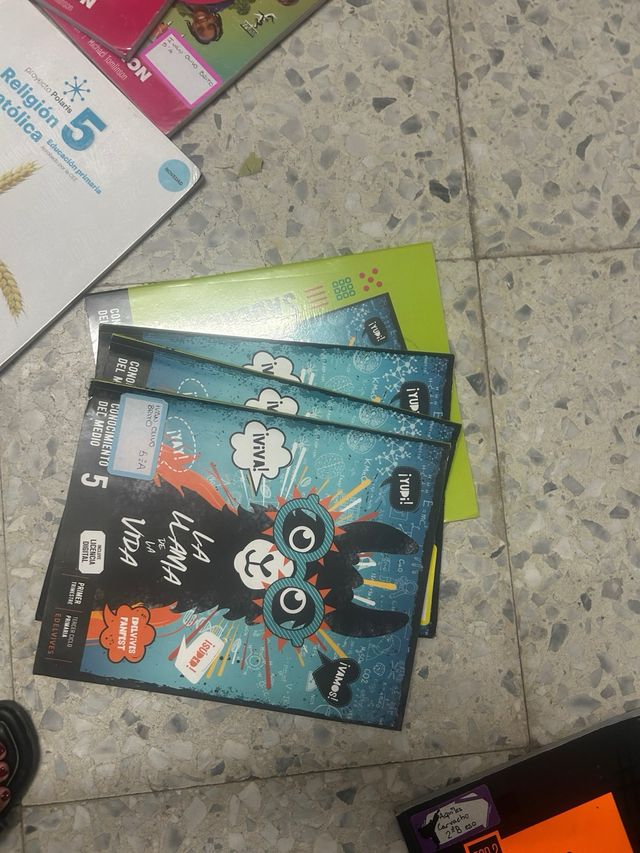 libros completos de 5 de primaria