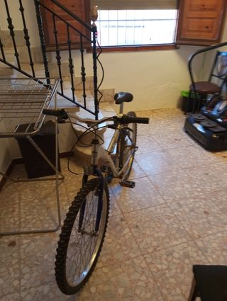 Bicicleta de montaña plateada y azul