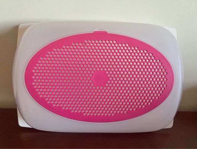 Quesera Tupperware Rectangular