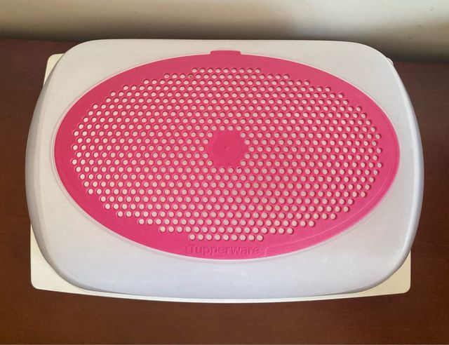 Quesera Tupperware Rectangular