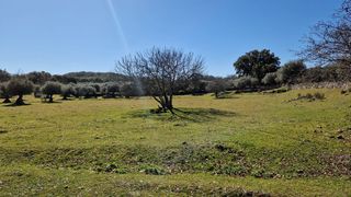 Finca rústica en Valencia de Alcántara