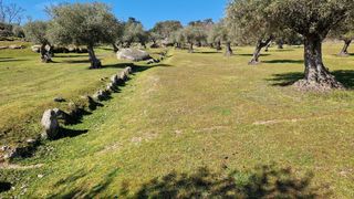 Finca rústica en Valencia de Alcántara