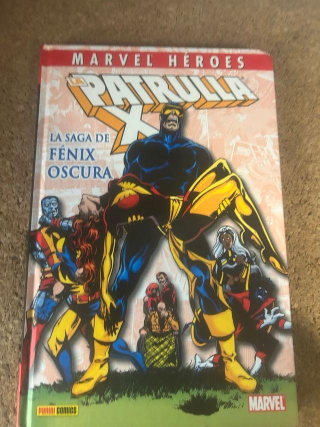 la saga fénix oscura