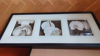 Cuadro Tríptico Flores Orquídeas Blanco y Negro