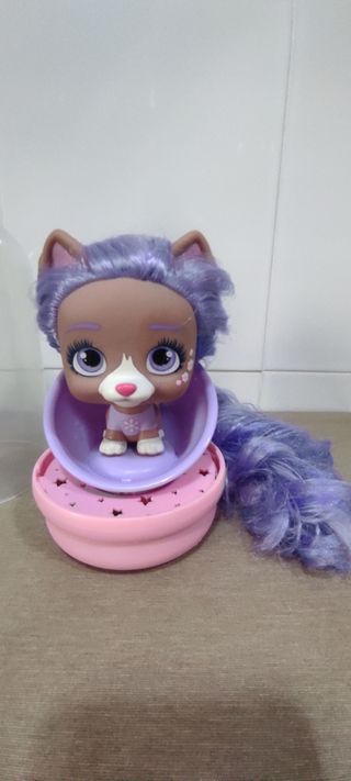 VIP PETS MORADA con Accesorios