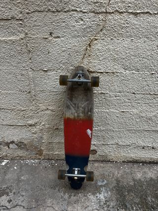 Longboard Globe
