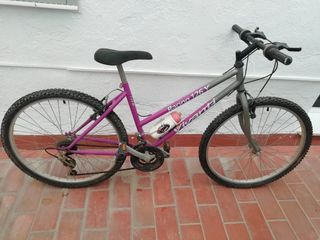 Bicicleta Vivanti Racing 126Y Morada