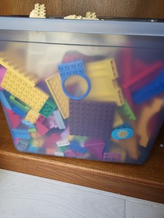 Lego Duplo pezzi misti.