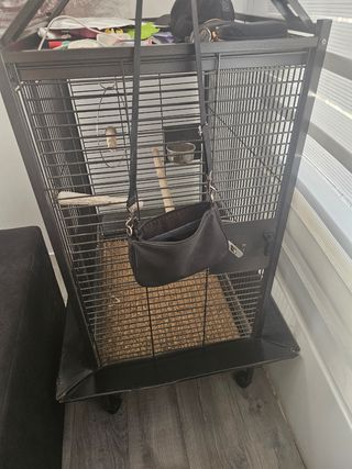 Jaula para loro grande
