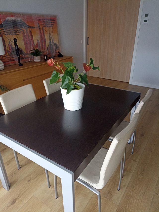 Mesa comedor extensible más 6 sillas