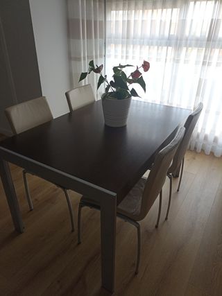 Sedie da pranzo allungabili Mesa plus