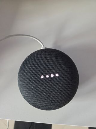 Google Nest Mini Gris