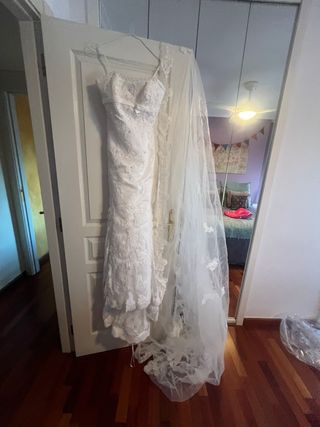 Vestido de Novia Pronovias con Velo