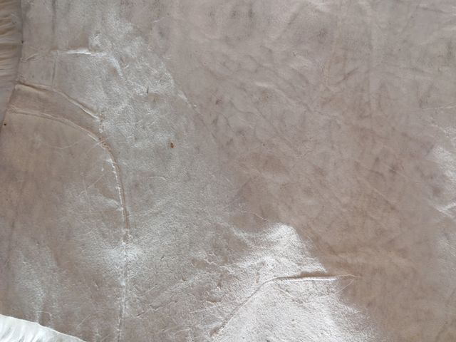 ULTIMO PRECIO alfombra piel de Cabra 