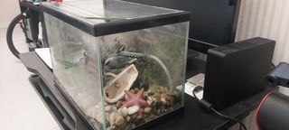 Acuario de cristal y plástico