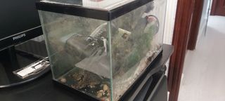 Acuario de cristal y plástico