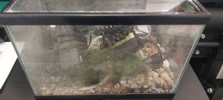 Acuario de cristal y plástico