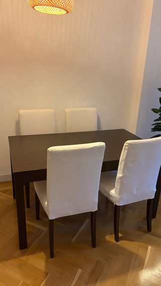 Mesa extensible y 4 sillas Ikea