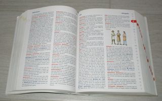 DICCIONARIO JÚNIOR ESCOLAR