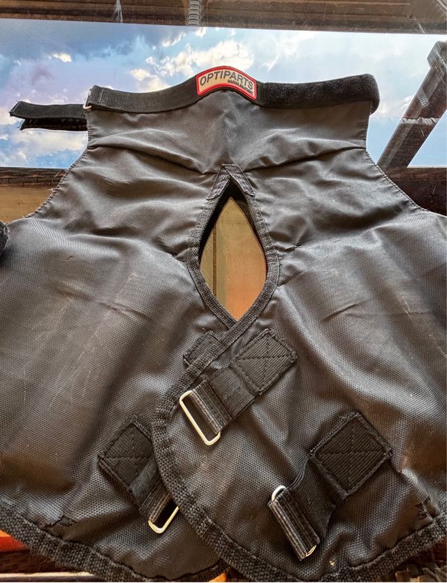 Culeras vela ligera Optimist