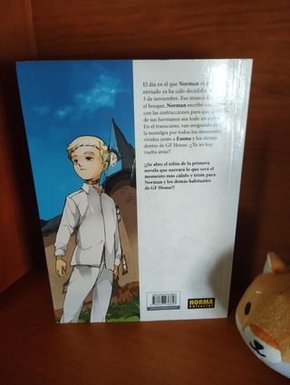 The promised neverland: La carta de Norman