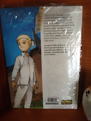 The promised neverland: La carta de Norman